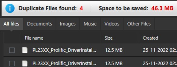 duplicate file found