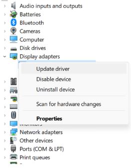 find graphics card under Display Adapter