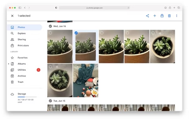 google photos