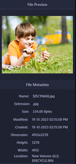 Right-pane will show a preview of the images, audio, or video files and below it, you can see the File Metadata
