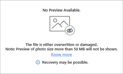 1. File Format Preview is Not Supported 