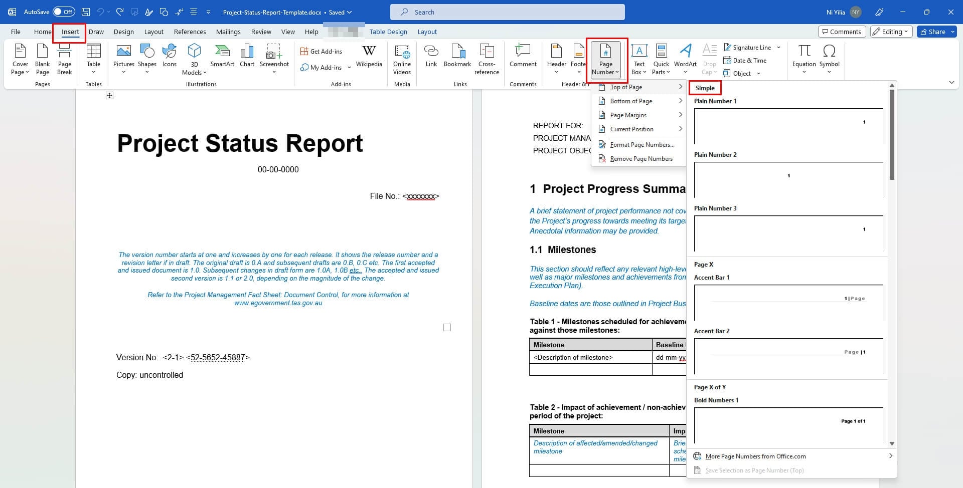 Insert option in MS Word