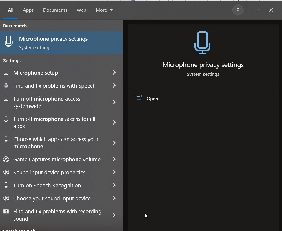 Type microphone privacy settings