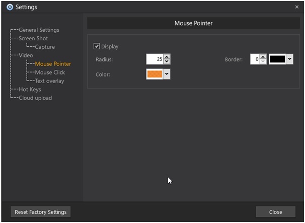 decide the pointer color