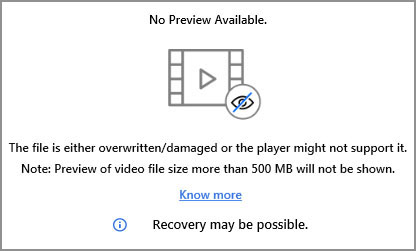 1. File Format Preview is Not Supported 