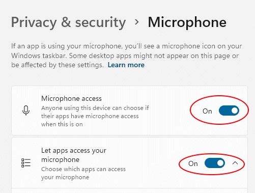 Microphone in privacy & security setting