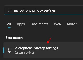 microphone privacy settings