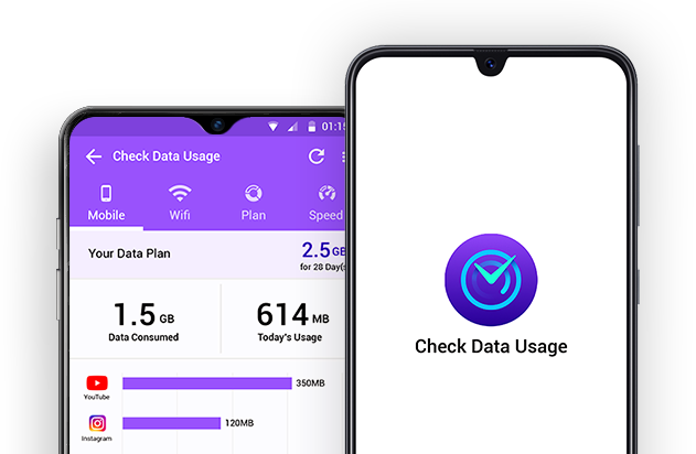 internet data usage monitor