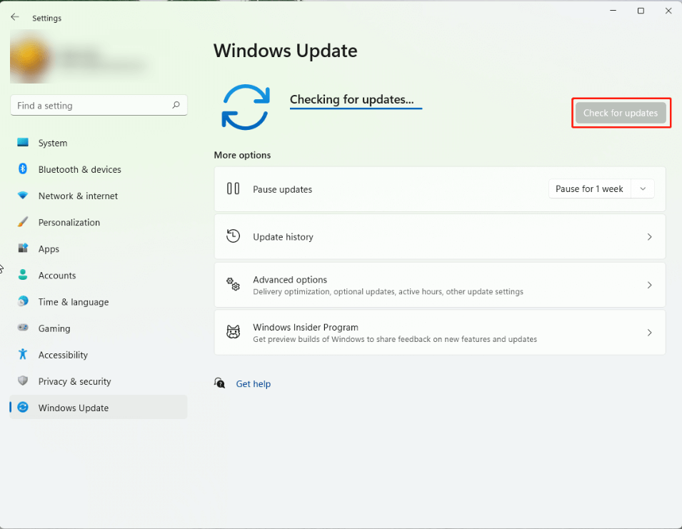 check for Windows updates