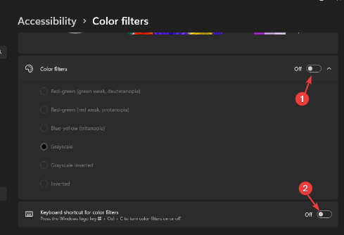 Color Filters toggle button