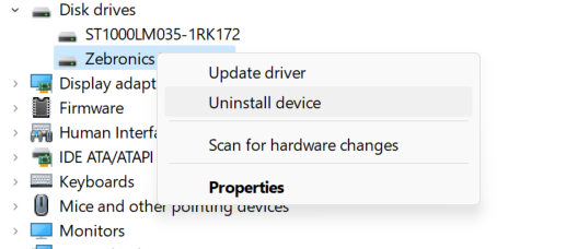Disk Drives - Device Manager