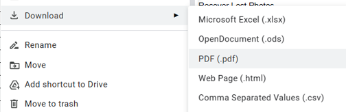 Download Option - Google Drive