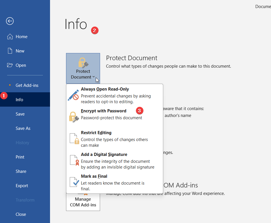 Encrypt with Password option after opening file in ms word
