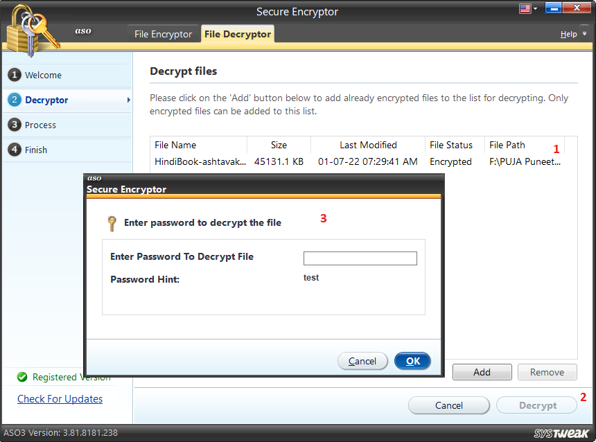 entering password to decrypt file