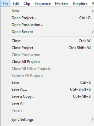 File option in Premiere Pro