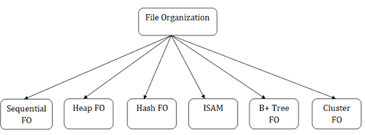 file-organization