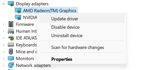 found graphics driver under display adapters