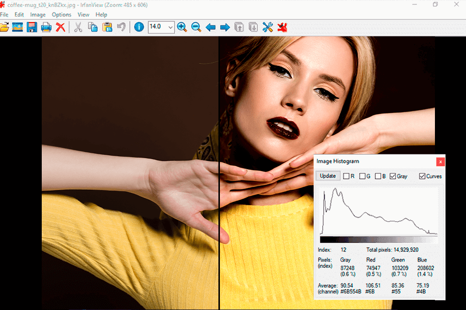 irfanview-lightroom-alternatives