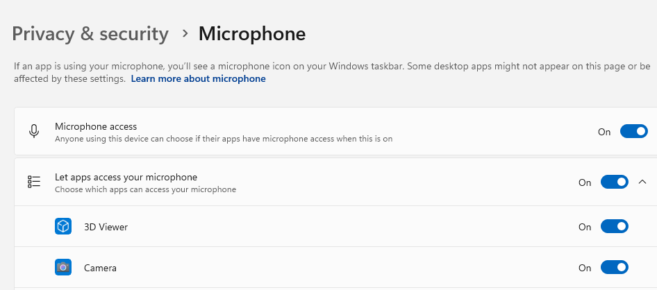 Microphone Access toggle button