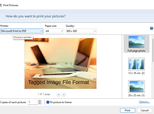 save PDF with file name