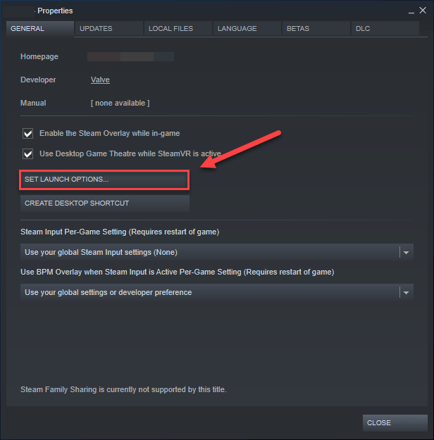 Set Launch Options button