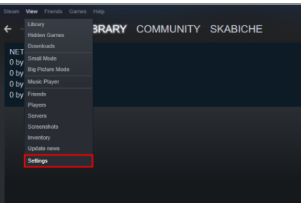 Settings in Steam tab