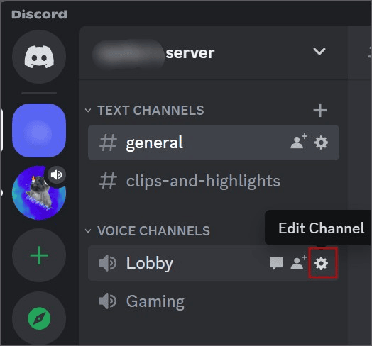 voice channel