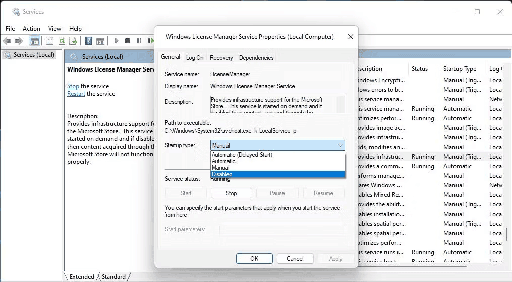 Windows License Manager Service Properties